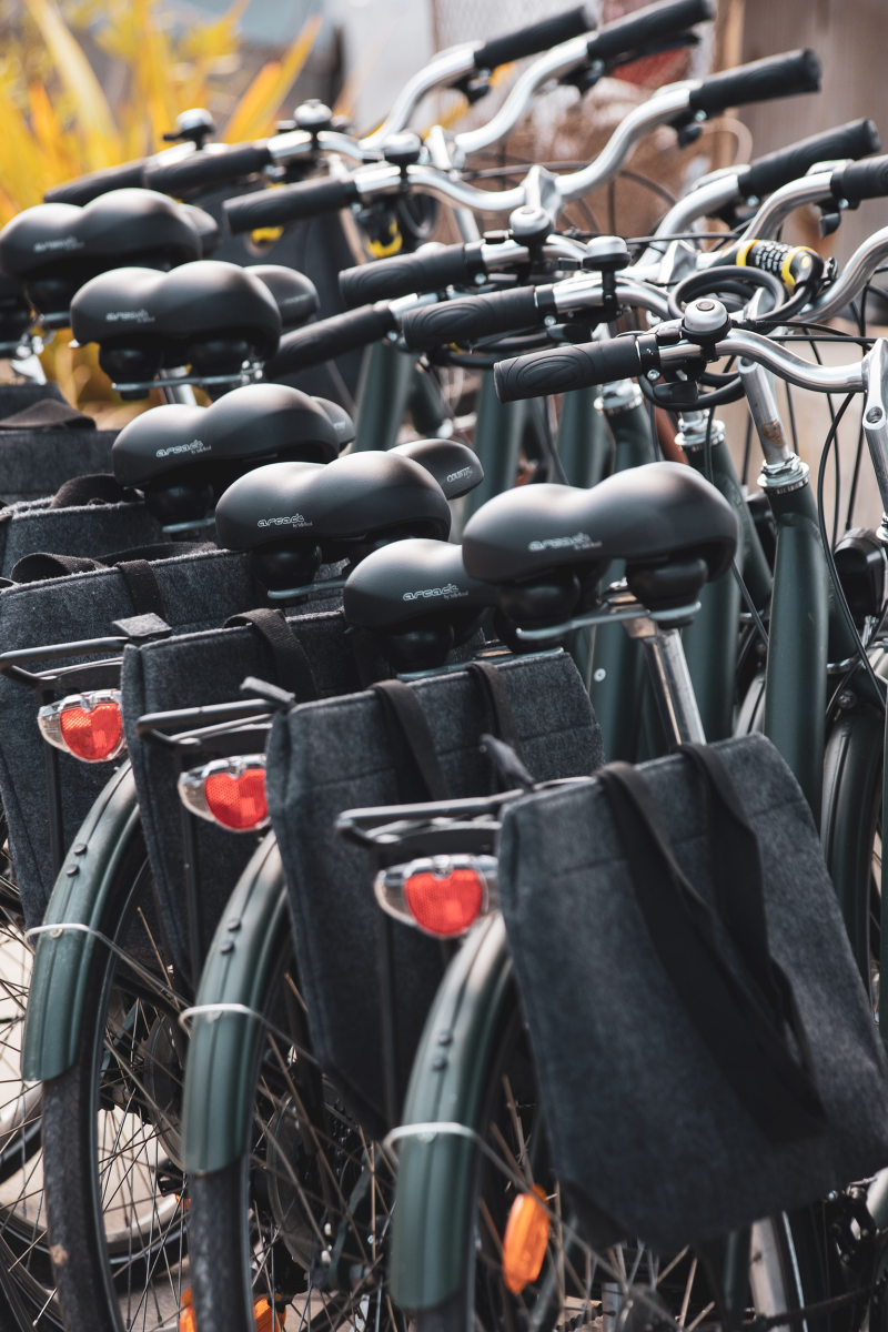 Véloce - Saint-Emilion - location de vélos veloce-visite-guidee-et-degustation